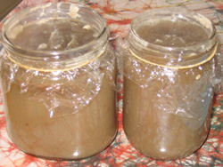 Confiture de châtaignes